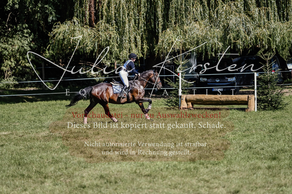 DSC_1859 | Pferde- und Turnierfotografie in Westsachsen. Pferdeportraits, Auftragszeichnungen und intuitive Kunst.