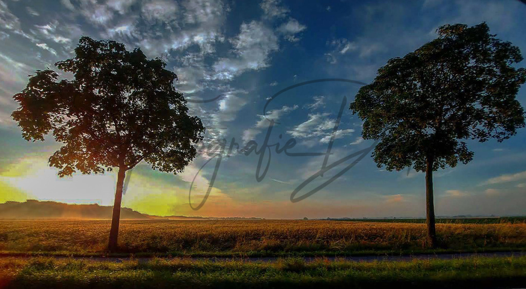 Bilder Homepage-38 | fotografie-derks - Realisiert mit Pictrs.com