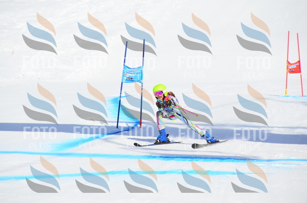 DSC_0549 | holidayphoto