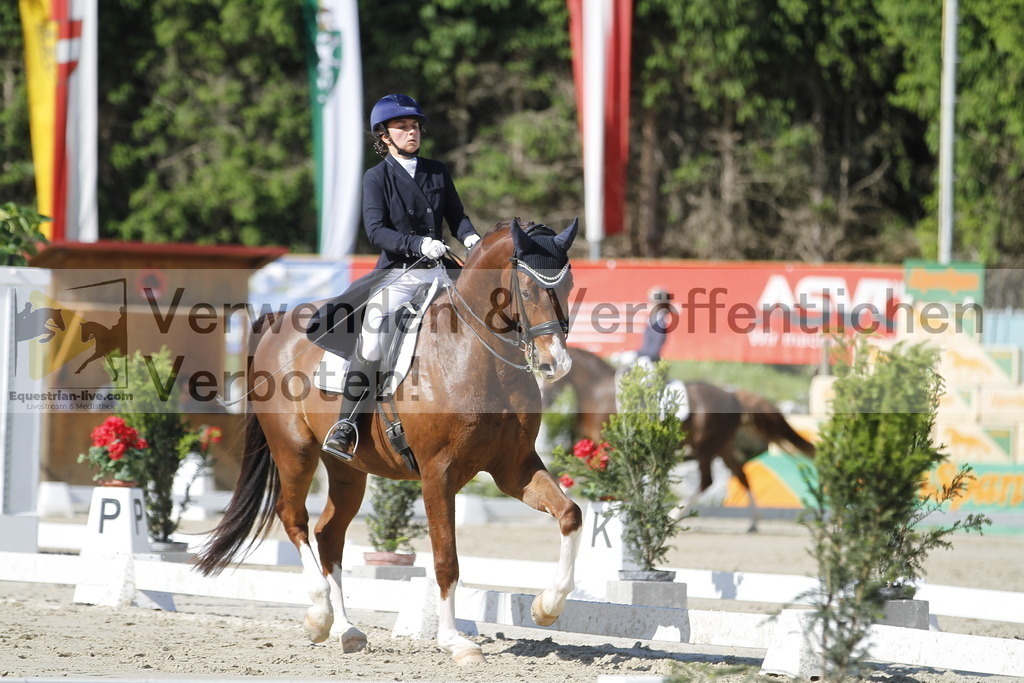 _MG_3053 | equestrian-live-com