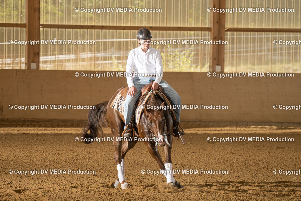 LAU01757 | dv-media-shop - Realisiert mit Pictrs.com