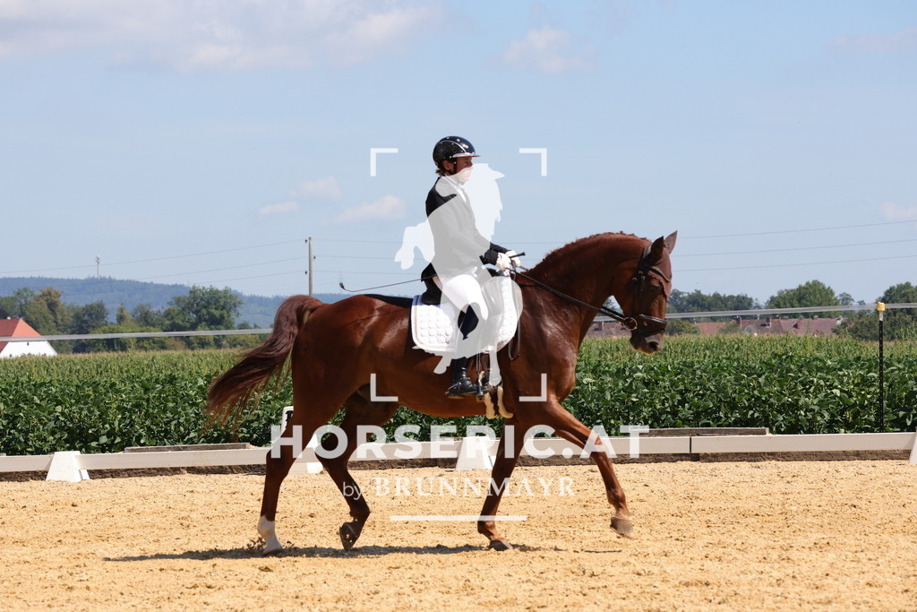 0P6A8287 | Willkommen bei Brunnmayr - Design & Fotografie – Ihrem Spezialisten für Reitturniere und Pferdeveranstaltungen in Oberösterreich, Salzburg und Bayern! Seit über 17 Jahren sind wir leidenschaftlich dabei.