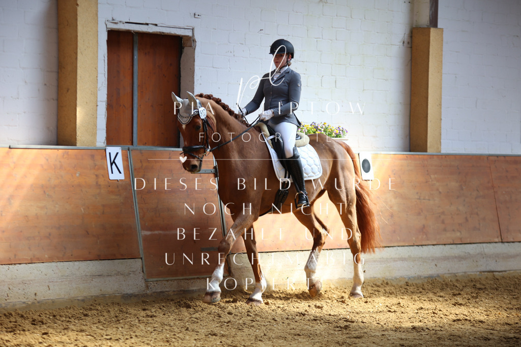 IMGT7364 | pl-fotografie