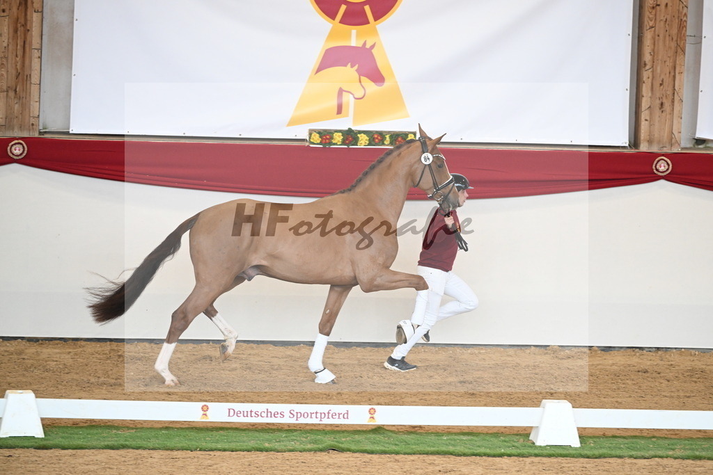 Kat.-Nr. 84 v. Vaderland_van den Oetelaar_2250801 | hf-fotografie - Realisiert mit Pictrs.com
