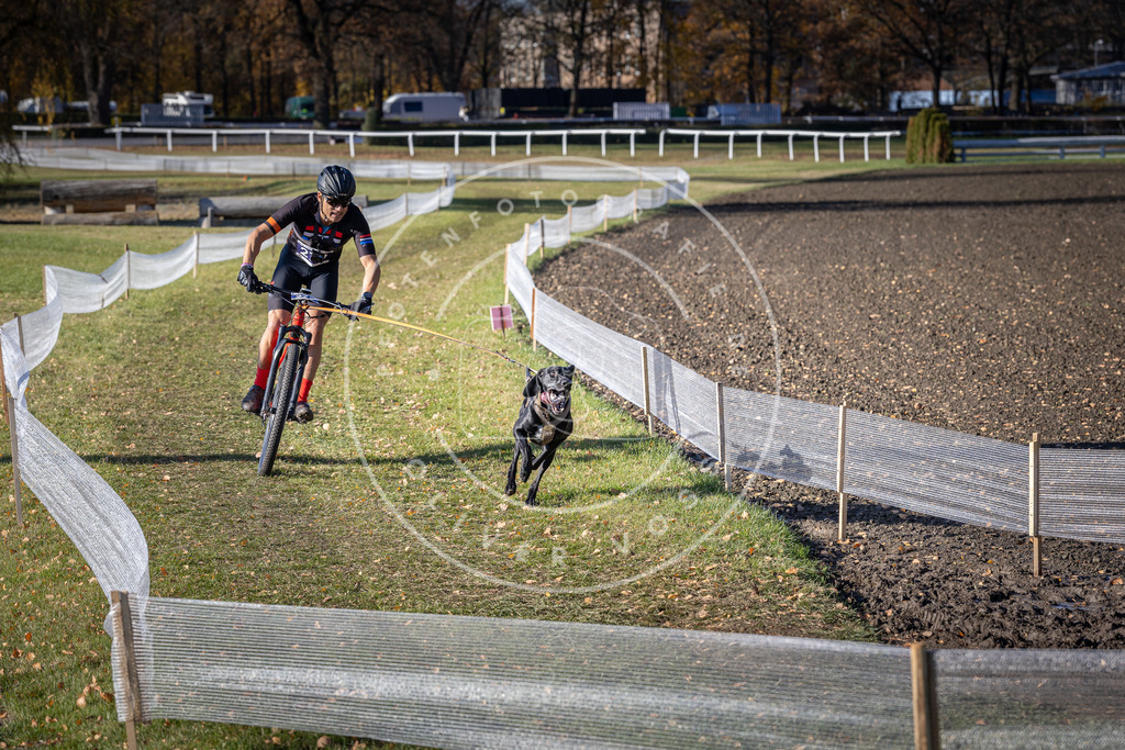 CaniXpix_DV3A5487 | Hundefotografie, Tierfotograf, Pfotenfotografie, Fotoshooting Hund, Hunde Portrait, Hundesport, Hundeportraits, Heideshooting, Hunde, Sportfotograf, Hundefotograf, Turnierhundsport, THS,  - Realisiert mit Pictrs.com