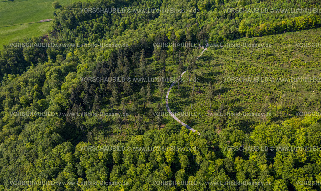 Horn-BadMeinberg240506074NSG-Bielsteinhoehle | Luftbild, NSG Naturschutzgebiet Bielsteinhöhle, Wanderweg im Wald, Waldgebiet mit Waldschäden, Teutoburger Wald, Veldrom, Horn-Bad Meinberg, Ostwestfalen, Nordrhein-Westfalen, Deutschland