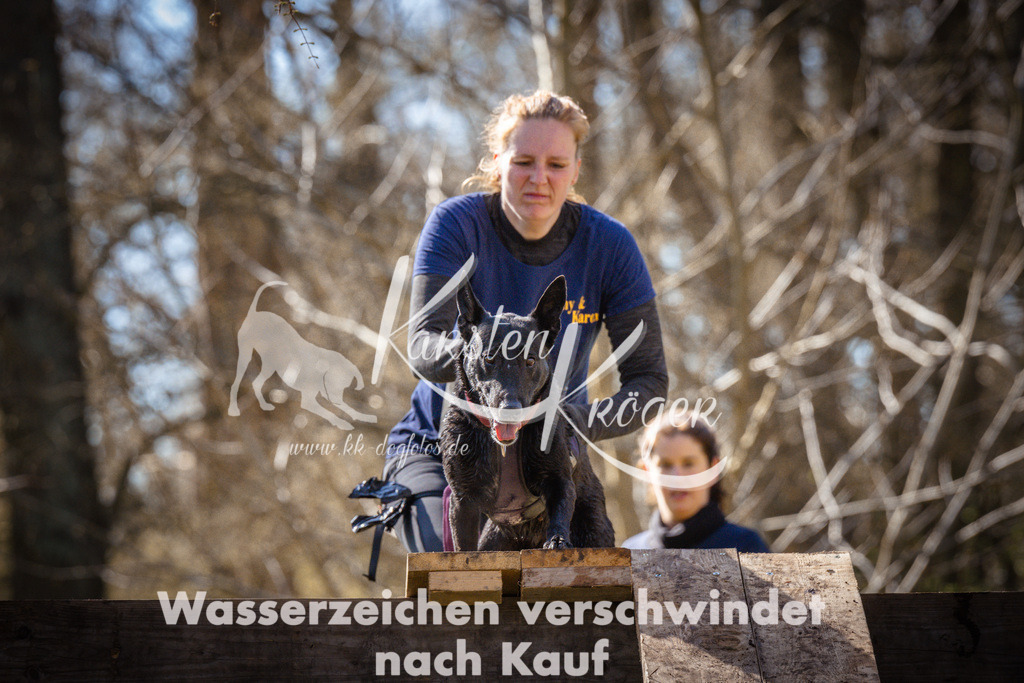 0921_ZZ95032 | kk-dogfotos