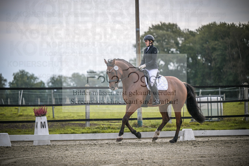 DOS_1925 | Entdecke hochwertige Reitturnierfotos von Foto Oger. Professionell, emotional und authentisch – jetzt Lieblingsmomente im Shop bestellen.Deutschlandweite Turnierfotografie. - Realisiert mit Pictrs.com
