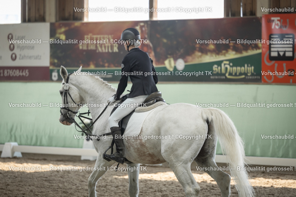 _D5A5776 | Emotionale Pferde- & People-Fotografie rund um Heidelberg, Leimen & Umgebung. Natürliche Fotos von Pferd, Mensch & Familie. Jetzt Termin sichern!