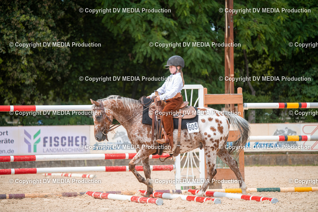 EWP_6631 | dv-media-shop - Realisiert mit Pictrs.com