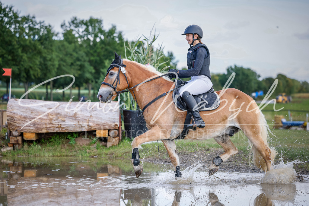 20250905-_3LI0407 | Tierfotografie Pferde, Hunde, Katzen, Haustiere.
Turnierfotografie Reitturniere, Reiten, Springreiten, Dressur in Hanau, dem Main-Kinzig-Kreis und dem Rhein-Main- Gebiet um Frankfurt