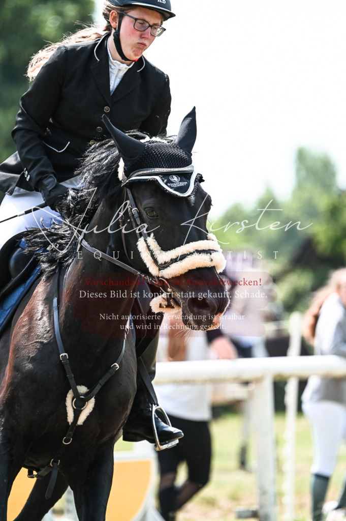 DSC_9141 | Pferde- und Turnierfotografie in Westsachsen. Pferdeportraits, Auftragszeichnungen und intuitive Kunst.