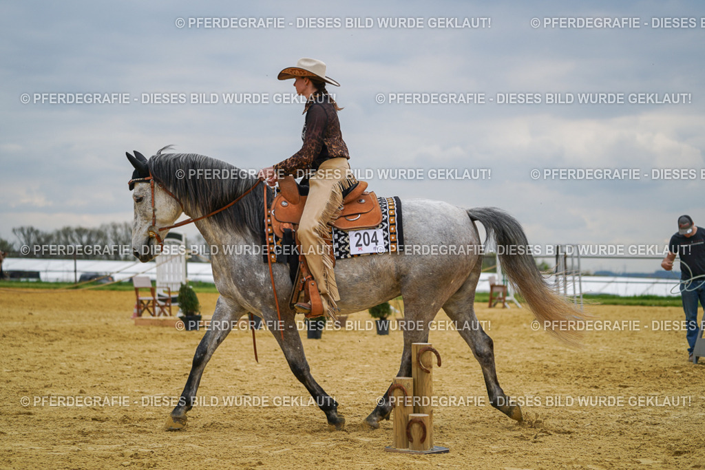 DSC07300 | Pferdegrafie