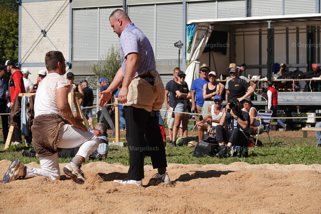 DSC01709 | Schwingen - Realisiert mit Pictrs.com