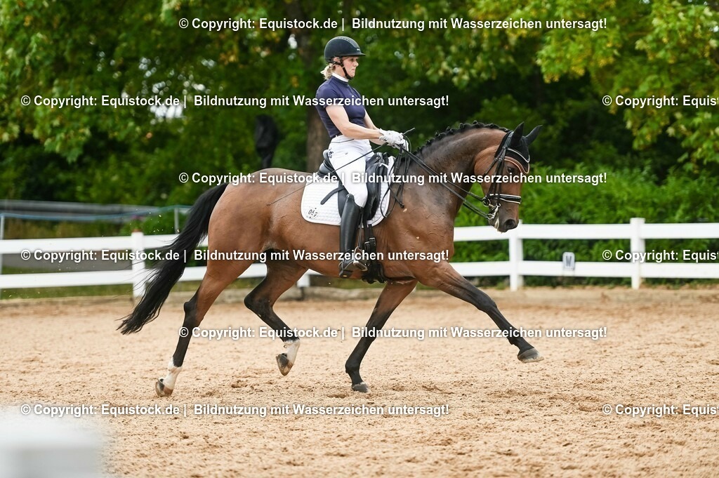 20230716_01_Dressurprüfung Kl.M_0448 | equistock