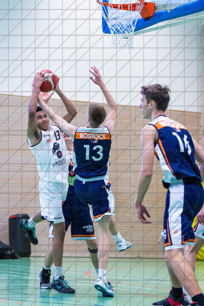 JBBL 24/25 | 19.01.2025 | Charisma Young Bulls vs. Rostock Seawolves | JBBL 24/25 | 19.01.2025 | Charisma Young Bulls vs. Rostock Seawolves - - - - - CREDIT, www.bullenfotos.de, Martin König, Hörner Weg 40, D-49078 Osnabrück, +4917663732967, Nutzung und Weitergabe nur zu den vereinbarten Zwecken. Presseanfragen an Urheber. Alle Rechte beim Urheber. - - - - - - Realisiert mit Pictrs.com