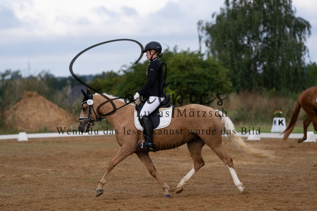 A7V03770 | Turnier/Reitfotograf