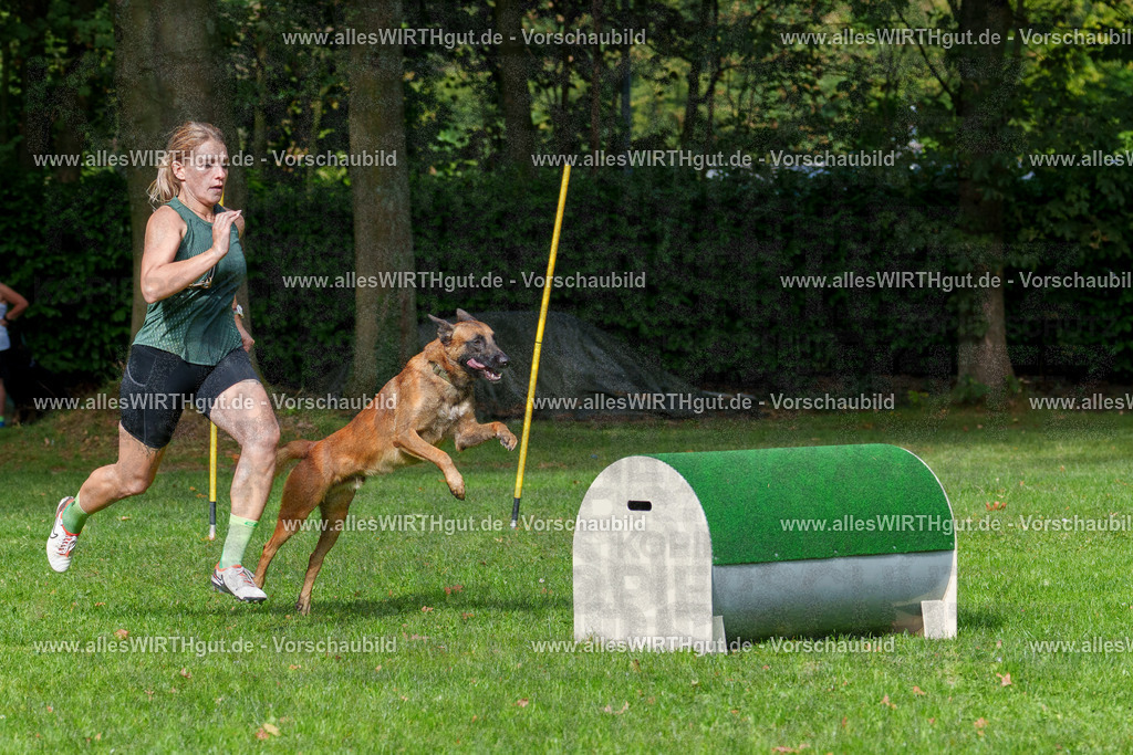 THS_Turnier_27-09-2026-allesWIRTHgut_Tierfotografie-7R507109 | Professionelle Tierfotografie in Mönchengladbach von Daniel Wirth (allesWIRTHgut). Liebevolle & natürliche Bilder von Hunden & Katzen für unvergessliche Erinnerungen.