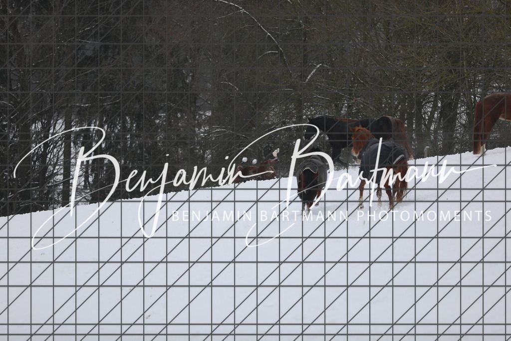 AZ2A3365 | Benjamin Bartmann Photomoments