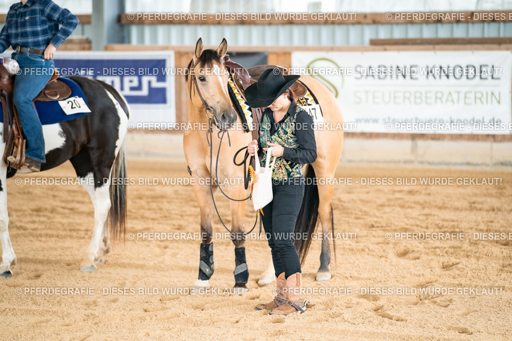 DSC03147 | Pferdegrafie