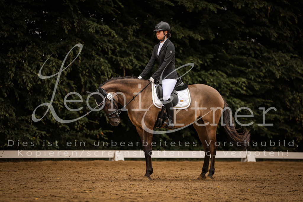 DoDrE00346 | Leoni Ertmer Photography - Realisiert mit Pictrs.com