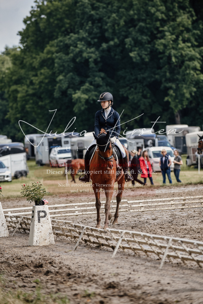 DSC_8956 | Pferde- und Turnierfotografie in Westsachsen. Pferdeportraits, Auftragszeichnungen und intuitive Kunst.