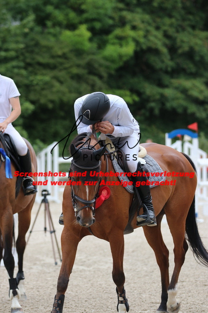 IMG_2396 | lmwpictures - Realisiert mit Pictrs.com