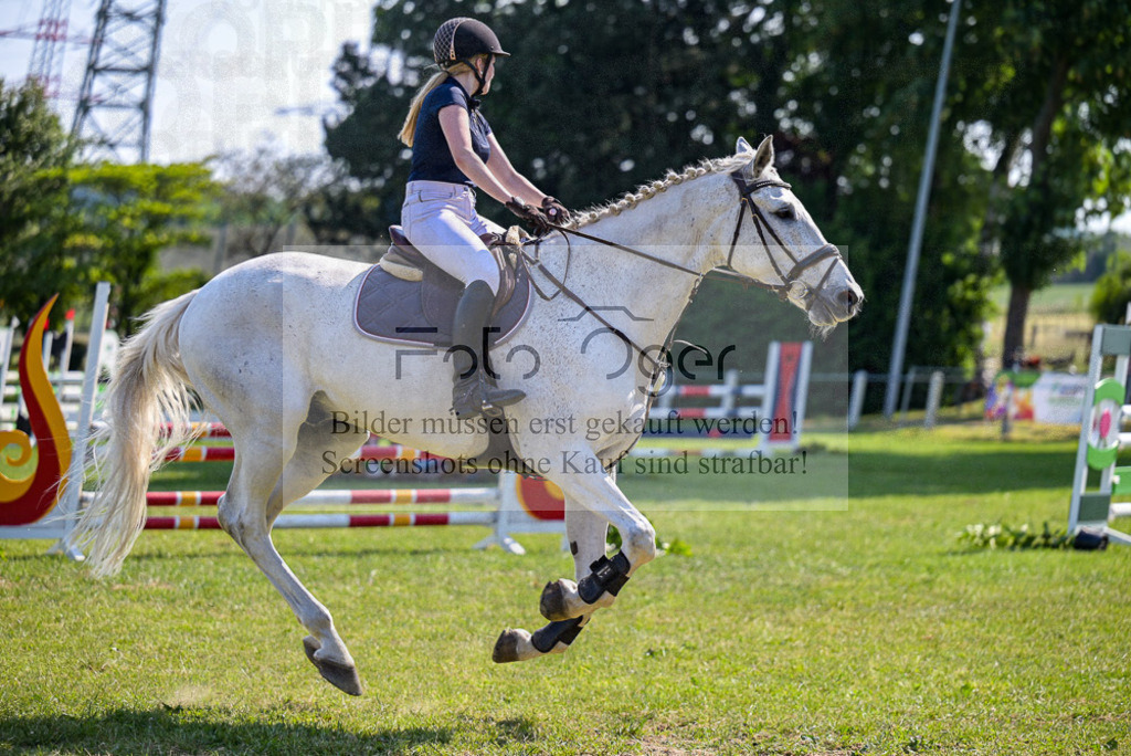 Reitturnier Voxtrup | Entdecke hochwertige Reitturnierfotos von Foto Oger. Professionell, emotional und authentisch – jetzt Lieblingsmomente im Shop bestellen. - Realisiert mit Pictrs.com