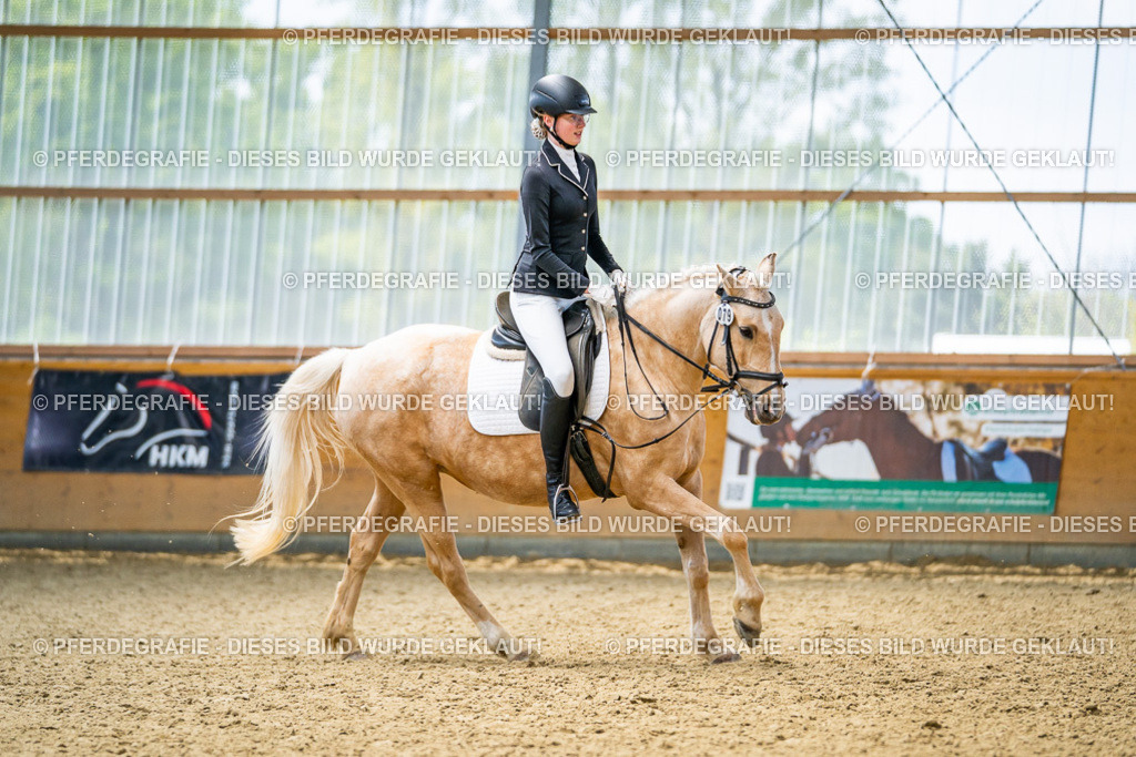 DSC04482 | Pferdegrafie