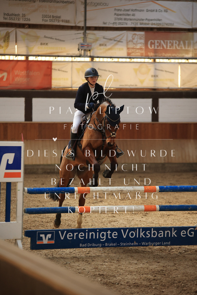 IMGT6375 | pl-fotografie