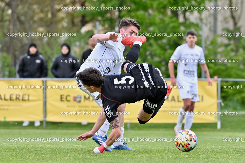 ASK Klagenfurt vs. SK Vorwärts Steyr 21.4.2024 | #5 Martin Coello Carrera SK Vorwärts Steyr, #7 Bondan Romaniuk ASK Klagenfurt, ASK Klagenfurt vs. SK Vorwärts Steyr 21.4.2024, ASK Klagenfurt vs. SK Vorwärts Steyr am 21.04.2024 in Klagenfurt (ASK Sportzentrum Fischl), Austria, (Photo by Bernd Stefan)