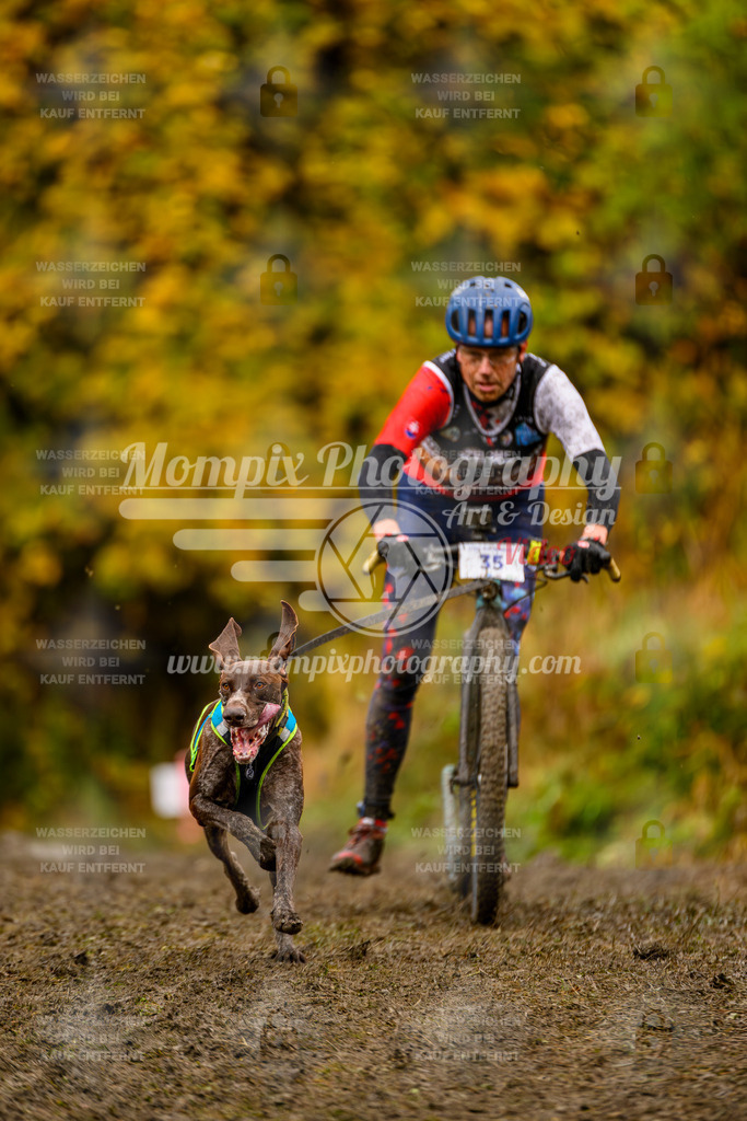 MompixPhotography_ICF_WC_2024_SA_DS_-64 | PayLife