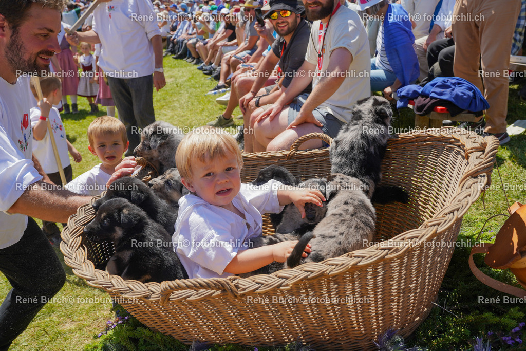 DSC00667 | René Burch leidenschaftlicher Fotograf aus Kerns in Obwalden.  Hier finden sie Sport, Landschaft und Natur Fotografie.
 - Realisiert mit Pictrs.com