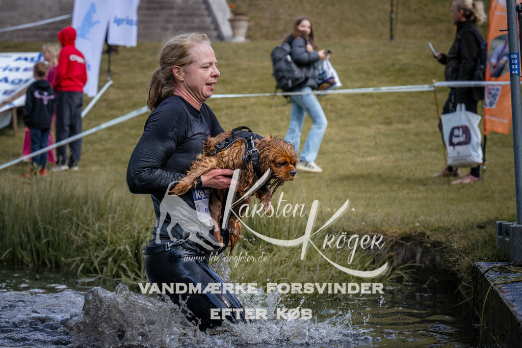 _ZZ910580911 | kk-dogfotos