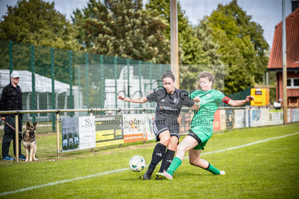 SG Bohmte/Ostercappeln/Schwagstorf - SG Hollenstede / Schwagstorf | Fr.-BZL Weser-Ems Süd · 1. Damen - SG Hollenstede / Schwagstorf · Sportplatz - Realisiert mit Pictrs.com