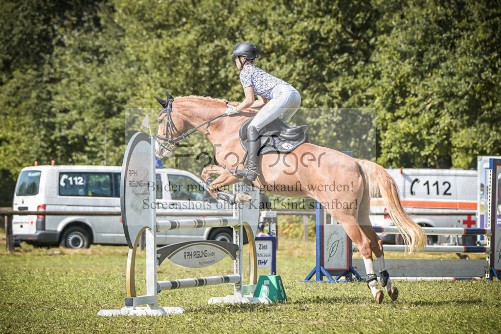 DOS_1004 | Entdecke hochwertige Reitturnierfotos von Foto Oger. Professionell, emotional und authentisch – jetzt Lieblingsmomente im Shop bestellen.Deutschlandweite Turnierfotografie. - Realisiert mit Pictrs.com