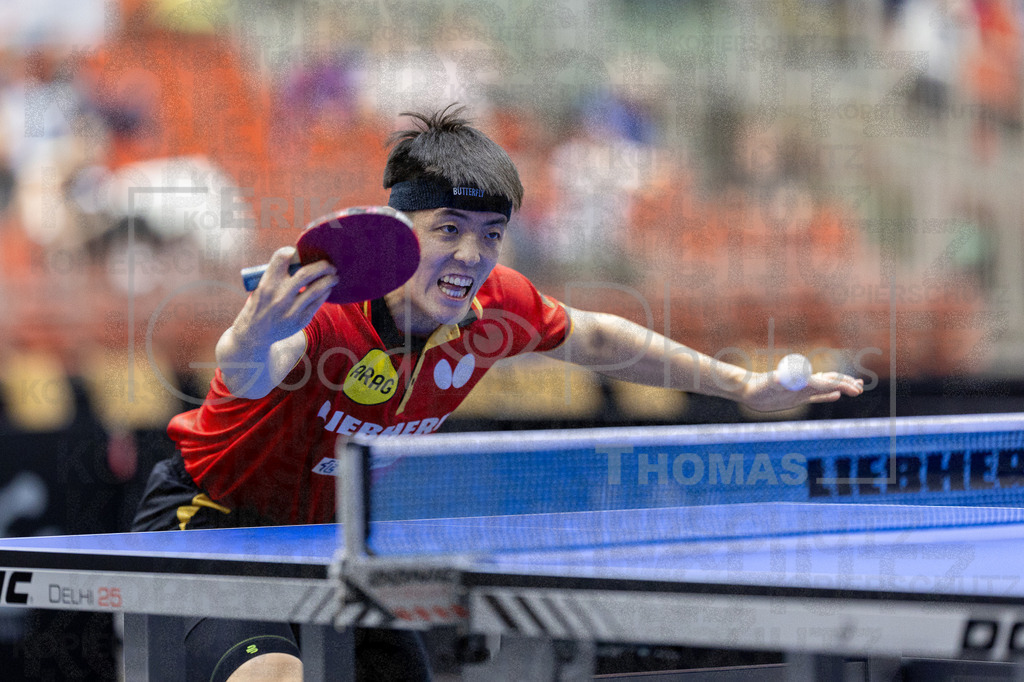 European_Championships_2024-10-17_212 | good-photos - Realisiert mit Pictrs.com