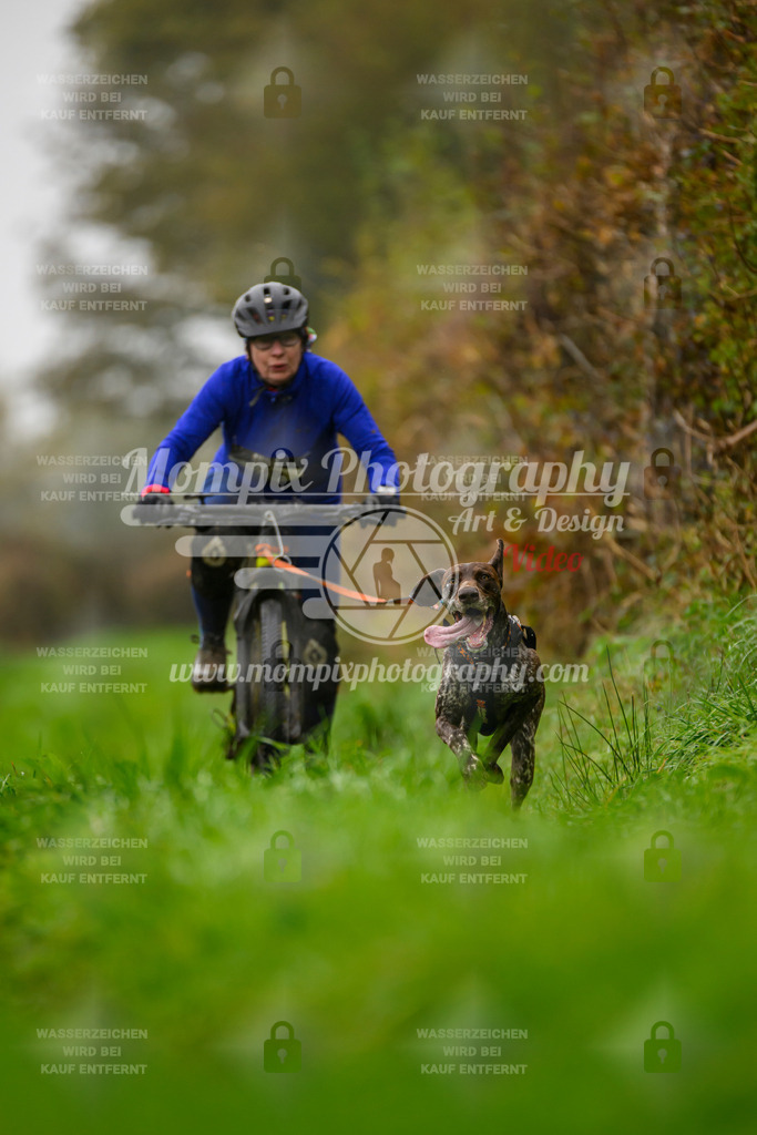MompixPhotography_20TSB_E8_Bike-94 | PayLife