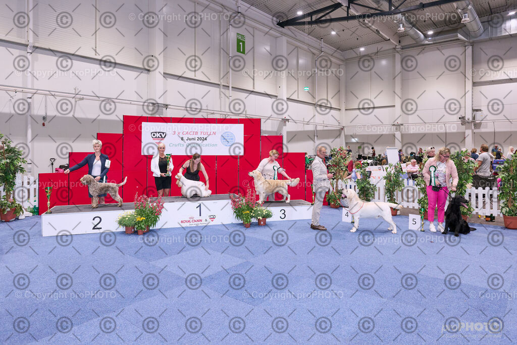 202406_ÖKV-IHA-Tulln24_NZ9_8725 | proPHOTO - Realisiert mit Pictrs.com