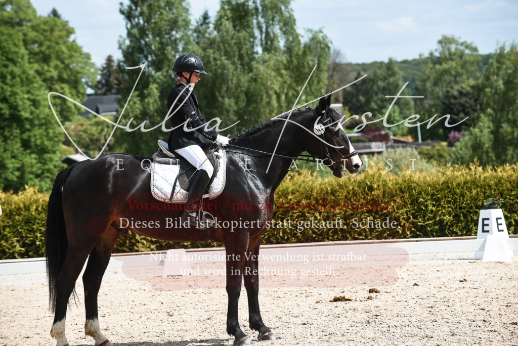 20230518_JK-Röhrsdorf-11-0738 | Pferde- und Turnierfotografie in Westsachsen. Pferdeportraits, Auftragszeichnungen und intuitive Kunst.