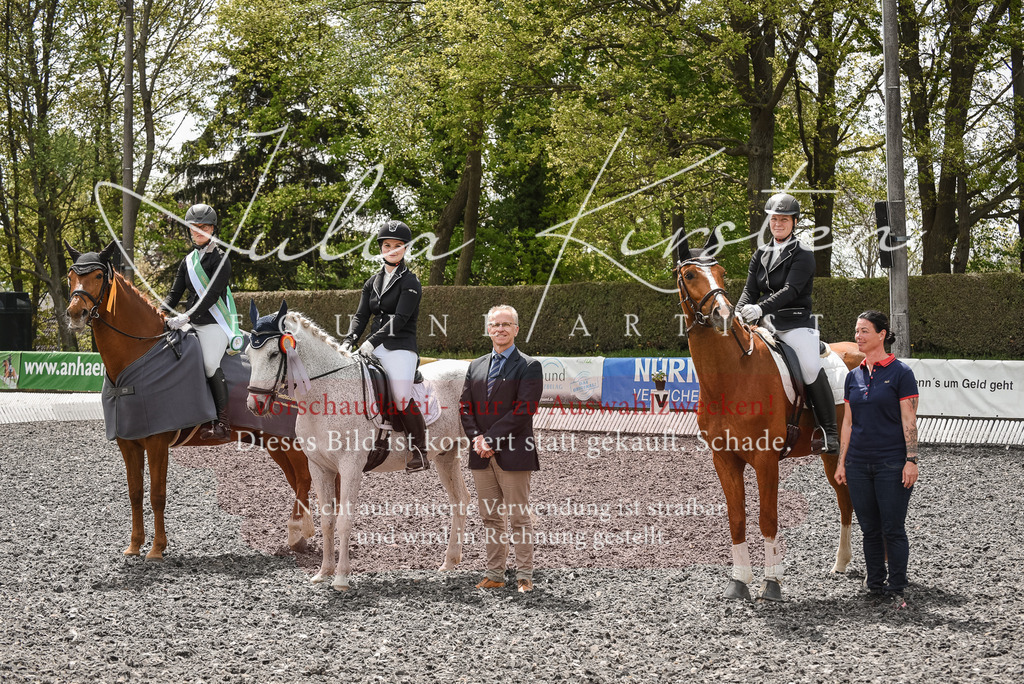 DSC_9232 | Pferde- und Turnierfotografie in Westsachsen. Pferdeportraits, Auftragszeichnungen und intuitive Kunst.