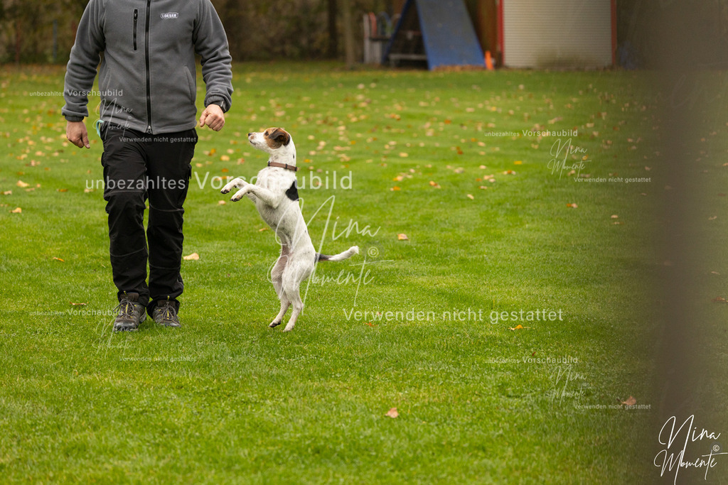 _16A0590 | Einzigartige Fotos von Hunden & Menschen –Actionfotos, Portraits, Vereinsaufnahmen & Paarshootings – authentisch, lebendig & mit Herz.