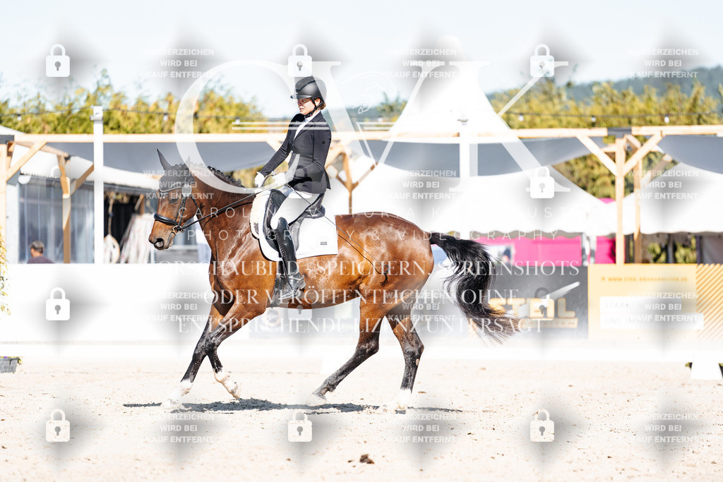 CK907984 | Turnierfotografie Pferdefotografie Trier Rheinland-Pfalz Pferdesport Reitsport Tierfotografie Sportfotografie Pferdevideo Pferdevideografie Equestrianvideography equestrianphotography  - Realisiert mit Pictrs.com