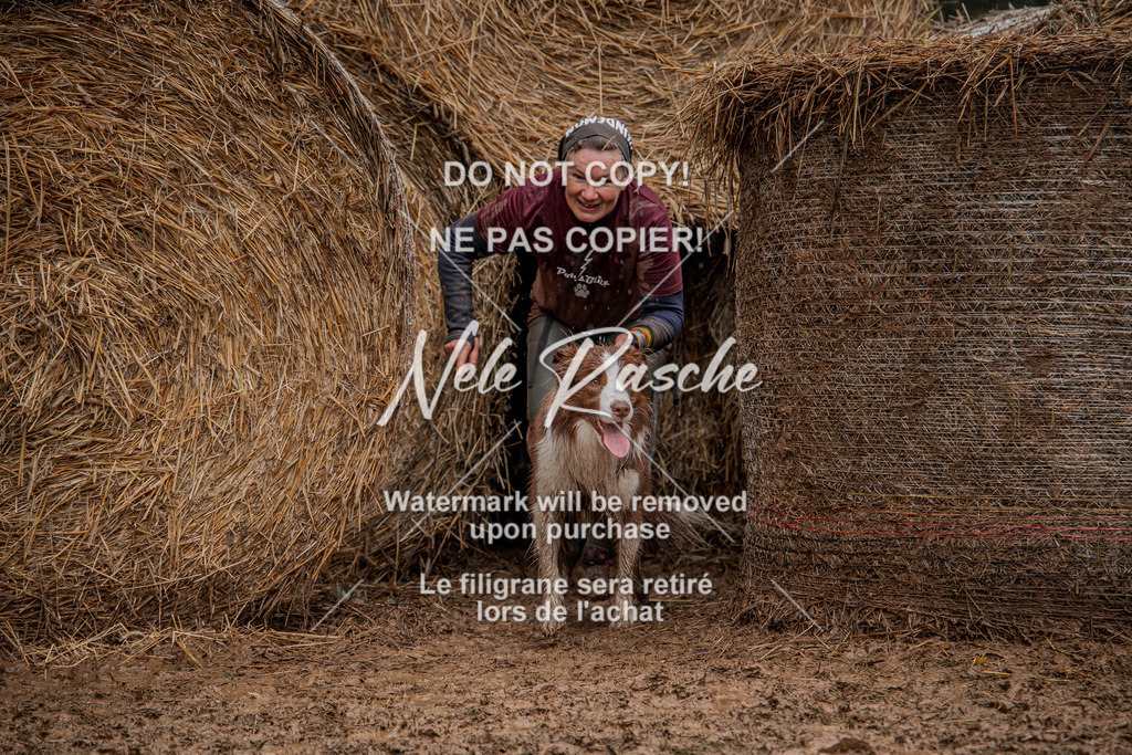 nelerasche_Hunsrück_So12-13_267 | nelerasche