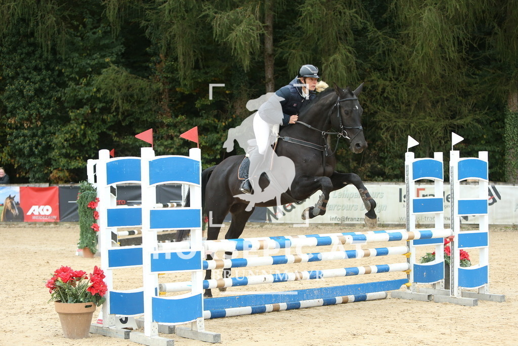 DL2Q5600 | Willkommen bei Brunnmayr - Design & Fotografie – Ihrem Spezialisten für Reitturniere und Pferdeveranstaltungen in Oberösterreich, Salzburg und Bayern! Seit über 17 Jahren sind wir leidenschaftlich dabei.