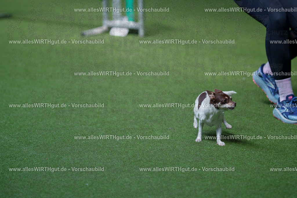 @allesWIRTHgut_Tierfotografie - www.allesWIRTHgut.de - 2604261328-7R501899 | Professionelle Tierfotografie in Mönchengladbach von Daniel Wirth (allesWIRTHgut). Liebevolle & natürliche Bilder von Hunden & Katzen für unvergessliche Erinnerungen.