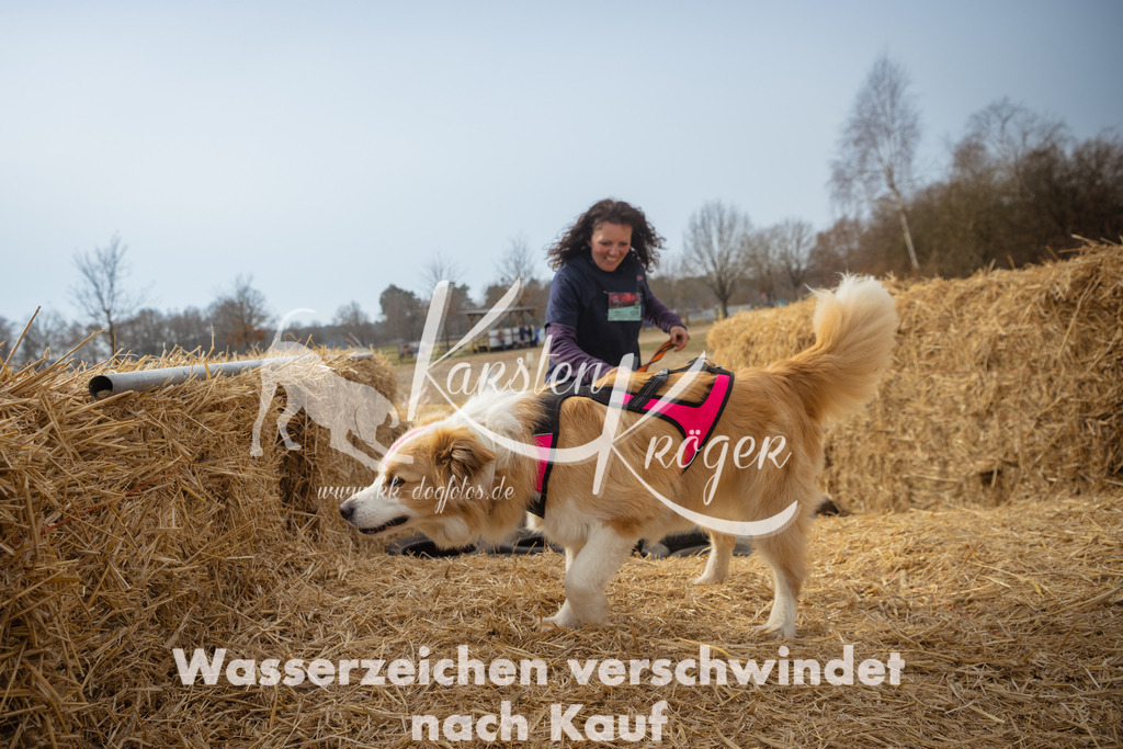 1115_ZZ92509 | kk-dogfotos