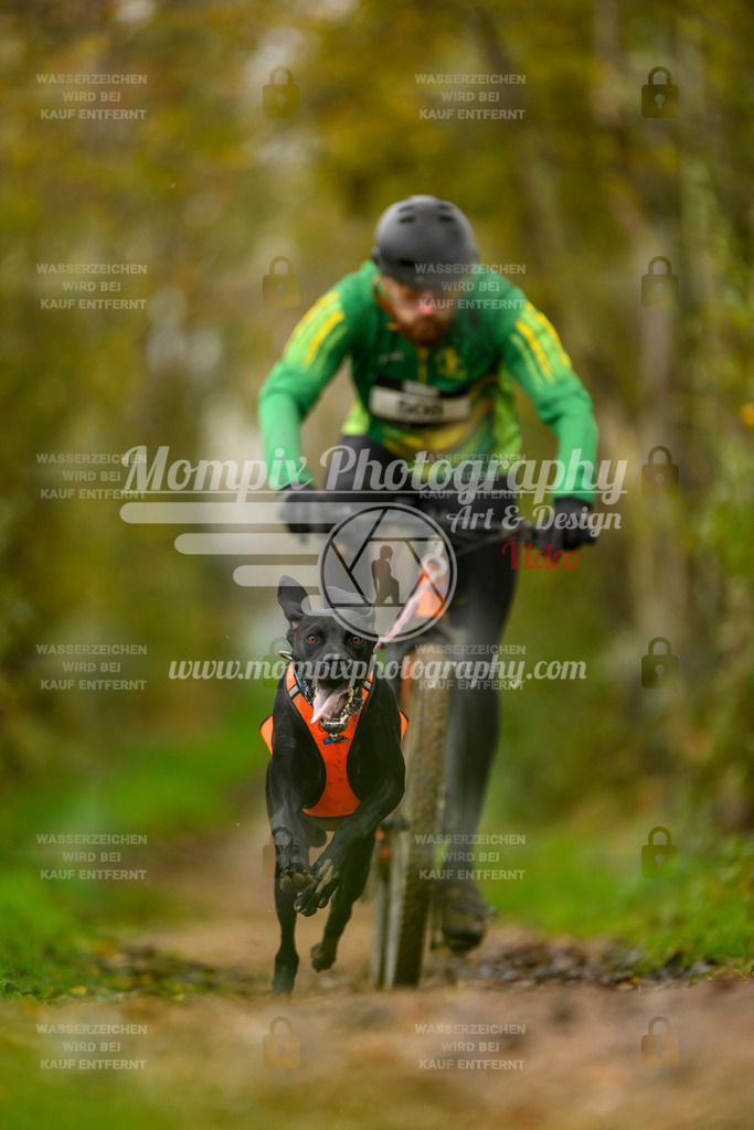 MompixPhotography_20TSB_E6_Bike-68 | PayLife