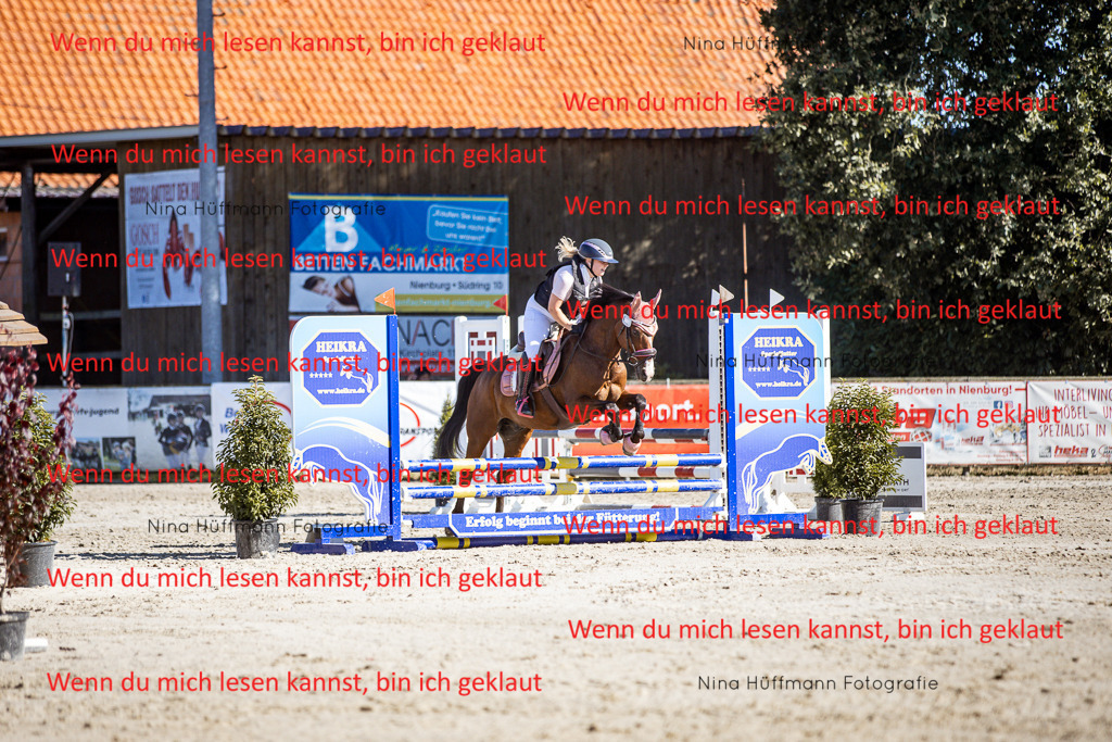 BK1A8091 | Turnierbilder Turnierfotos Nina Hüffmann Turnierfotografie Pferdefotografie Tierzeichnung Haustierzeichnung Pferdezeichnung Hundezeichnung Videograf  - Realisiert mit Pictrs.com