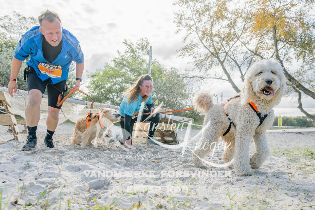 1245_ZZ93248 | kk-dogfotos